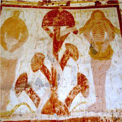 aushadhi-dibujo-hongo-curso-de-tantra-taller-de-tantra-formación-de-tantra-hari-dass