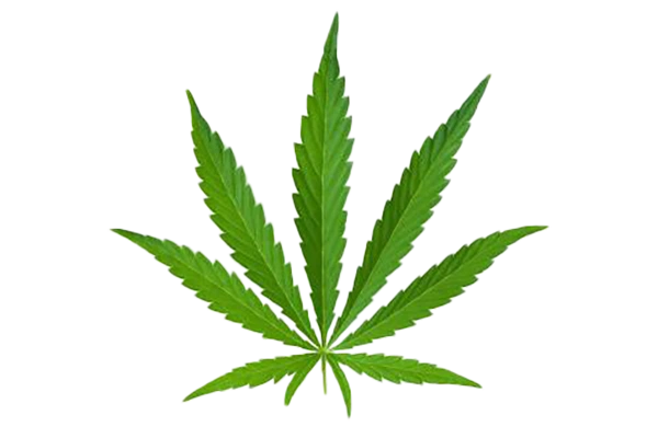 ganjah-curso-de-tantra-taller-de-tantra-formación-de-tantra-hari-dass