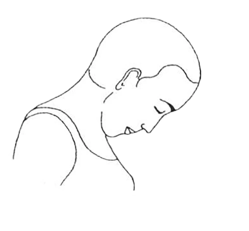 yoga-postura-Etapa-1-Postura-Greeva-Sanchalana-curso-de-tantra-taller-de-tantra-formación-de-tantra-hari-dass