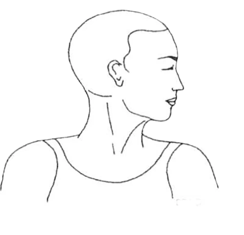 yoga-postura-Etapa-3-Postura-Greeva-Sanchalana-curso-de-tantra-taller-de-tantra-formación-de-tantra-hari-dass