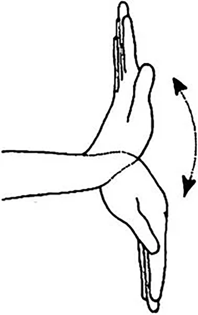 yoga-postura-Manibandhana-naman-curso-de-tantra-taller-de-tantra-formación-de-tantra-hari-dass