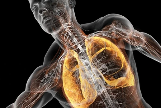 respiración-abdominal-pranayama-imagen-destacada-curso-de-tantra-taller-de-tantra-formación-de-tantra-hari-dass