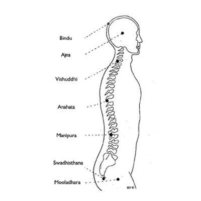 estructura-chakras-curso-de-tantra-taller-de-tantra-formación-de-tantra-hari-dass