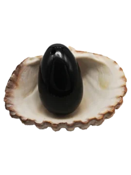 obsidiana-curso-de-tantra-taller-de-tantra-formacion-de-tantra-hari-dass.webp huevos-minerales-obsidiana-curso-de-tantra-taller-de-tantra-formacion-de-tantra-hari-dass.webp