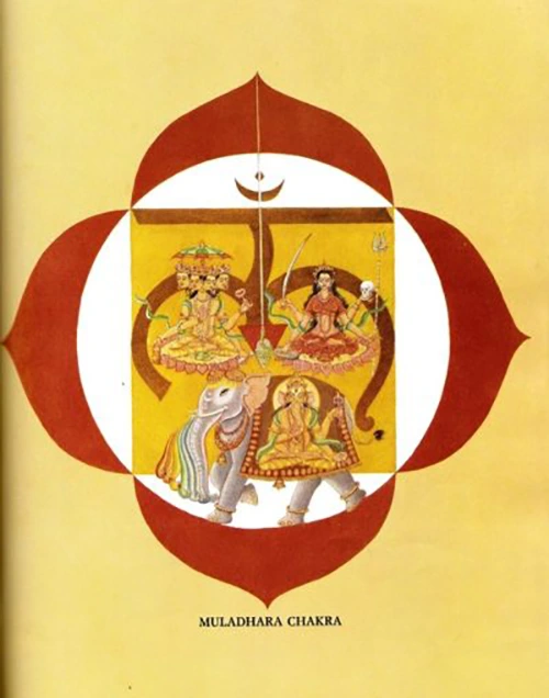 Muladhara-curso-de-tantra-taller-de-tantra-formación-de-tantra-hari-dass