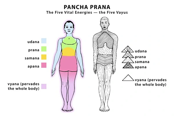 pancha-prana-curso-de-tantra-taller-de-tantra-formación-de-tantra-hari-dass
